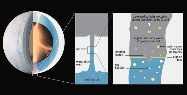 Rysunek przedstawia księżyc Saturna Enceladus i jego otoczenie pod warstwą lodu (po lewej).  Materiał z oceanu jest wyrzucany w przestrzeń kosmiczną przez pęknięcia w pobliżu południowego bieguna Księżyca.  Naukowcy podejrzewają, że na powierzchni wody (w środku) znajduje się cienka warstwa materii organicznej, w której mogą gromadzić się komórki bakteryjne.  Pęcherzyki gazu unoszące się z oceanu pękają na powierzchnię wody i mogą uwięzić komórki, tworząc cząsteczki lodu (po prawej).  Te cząsteczki lodu można analizować za pomocą czujników kosmicznych.  (Grafika: Europejska Agencja Kosmiczna)