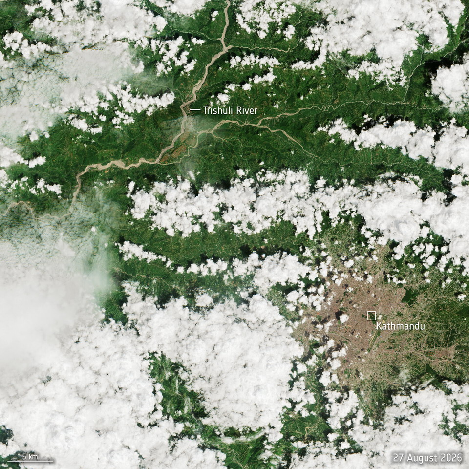Left Image