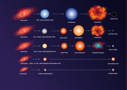 Diagramm der Lebenszklen Sterne verschiedener Masse. Weiße Zwerge: Sterne mit etwa 0,4 bis 8 Sonnenmassen verbrauchen zunächst den Wasserstoff in ihrem Kern. Nachdem auch das Helium verbrannt ist, bleibt ein dichter Kern aus Kohlenstoff und Sauerstoff zurück. Die äußeren Schichten werden abgestoßen und bilden einen sogenannten planetarischen Nebel. Der verbleibende Kern wird zu einem Weißen Zwerg, der durch den Druck entarteter Elektronen stabilisiert wird. Bild: Danielle Futselaar/IAU OAE.
